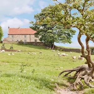 Warren Holiday home